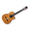 Ibanez – Guitares Electro-Nylon G300CE-NT G300CENT Neuf garantie 3 ans